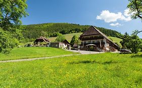 Landgasthaus Gruener Baum